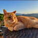 Spirit of contentment by 365projectorgchristine