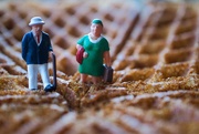 30th May 2025 - Waffle walk