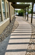 30th May 2025 - Like the patterns and slight curve.