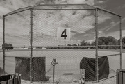28th May 2025 - Field Of Dreams #4