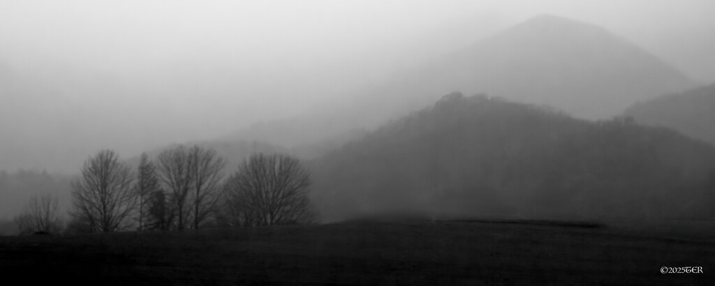 Mountains in the Morning Fog by taffy