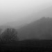 Mountains in the Morning Fog