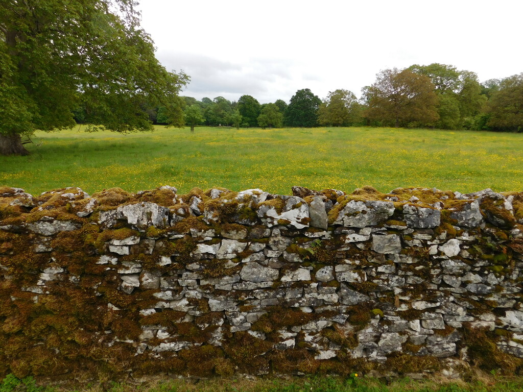 my arms aren't long enough by anniesue