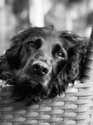 31st May 2025 - Contemplative 