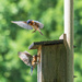 Fred & Ethel by kvphoto