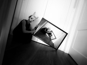 31st May 2025 - droste...