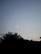 31st May 2025 - An evening sky 