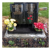 1st Jun 2025 - Another Year, Another Anniversary 