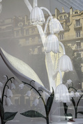 28th May 2025 - Christian Dior shop window