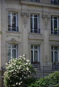 27th May 2025 - chic parisien