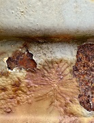 1st Jun 2025 - I just love rust