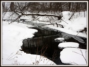 5th Feb 2011 - Winter Creek