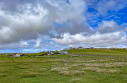 1st Jun 2025 - Where Have the Lapwings Gone?