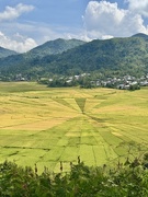 2nd Jun 2025 - Spiderweb rice fields. 