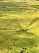 2nd Jun 2025 - Center. 