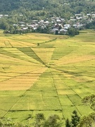 2nd Jun 2025 - Round rice fields. 