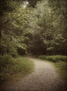 1st Jun 2025 - Into the Wild Wild Days of June