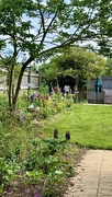 2nd Jun 2025 - A bit of colour