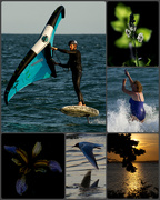 2nd Jun 2025 - Hayling Photo Amble