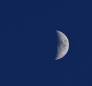 2nd Jun 2025 - Early Evening Moon 