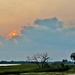 Marsh sunset Ii