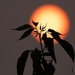 Silhouette