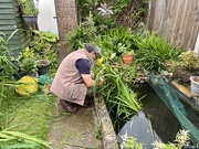 3rd Jun 2025 - My Garden Gnome 