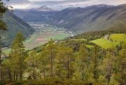 3rd Jun 2025 - Gudbrandsdalen 
