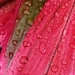 Droplets