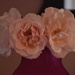 Rose Trio