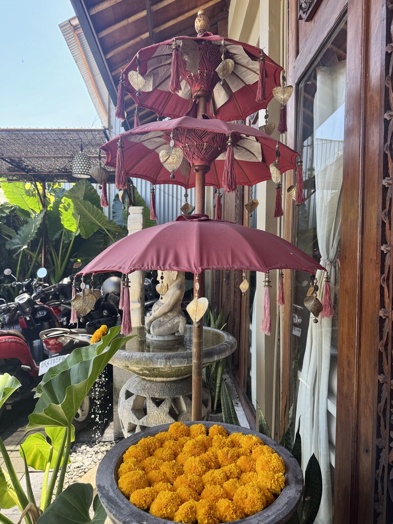 Hearts on umbrellas.  by cocobella