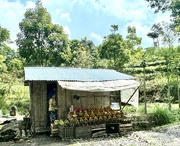 4th Jun 2025 - Fruits seller. 