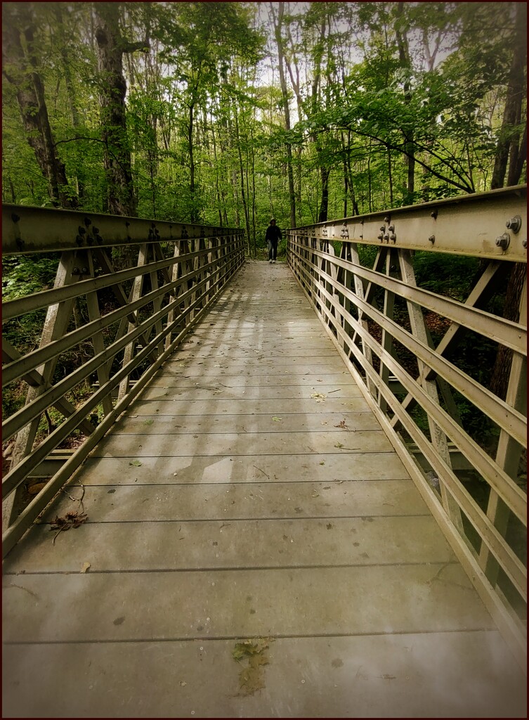 A Bridge Over Untroubled Waters by olivetreeann