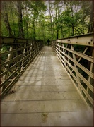3rd Jun 2025 - A Bridge Over Untroubled Waters