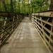 A Bridge Over Untroubled Waters