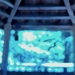 Blurred Serenity