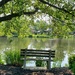 Take a Pause 