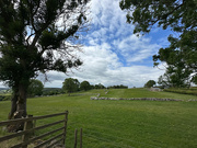 31st May 2025 - Field
