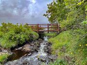 4th Jun 2025 - Footbridge