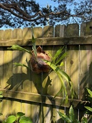 5th Jun 2025 - What in the World is This?
