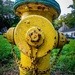 Fire hydrant with a wide-angle lens