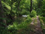 4th Jun 2025 - Twin Springs