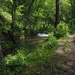Twin Springs