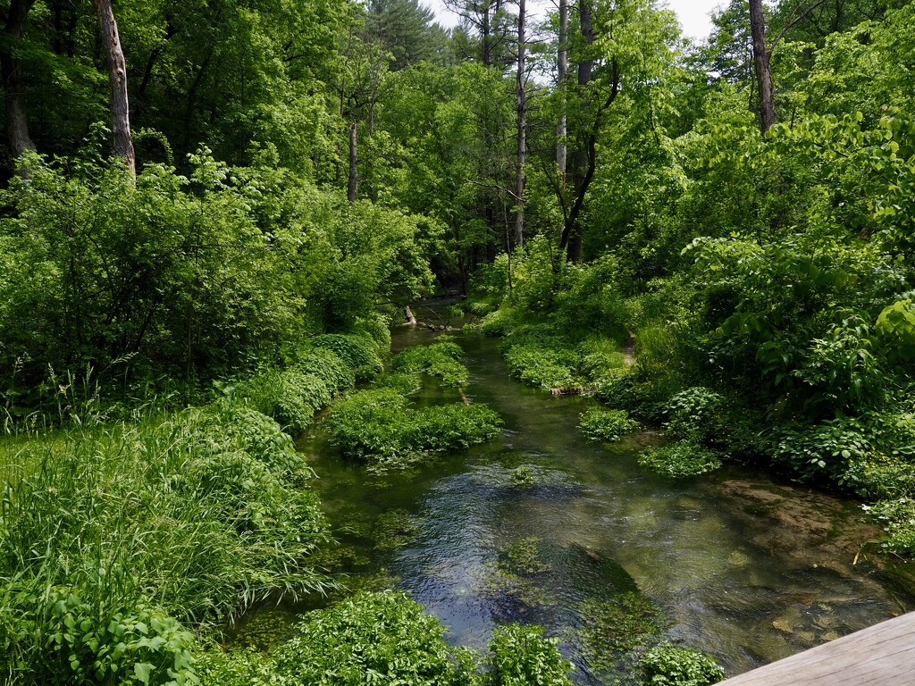 Twin Springs by vlc