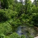Twin Springs