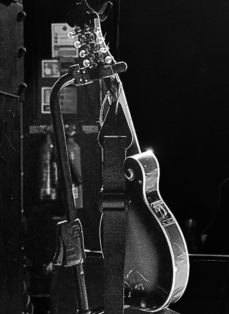 Mandolin  by frankiebhoy