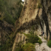 2025-06-04 hiking on the edge - literally!