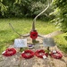 Royal Air Force Watton