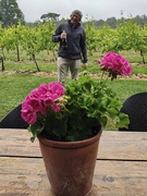 5th Jun 2025 - Photobombed