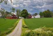 4th Jun 2025 - Farm